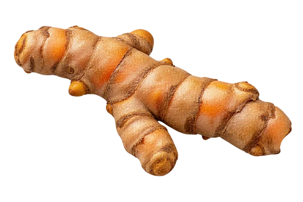 Turmeric (Haldi)